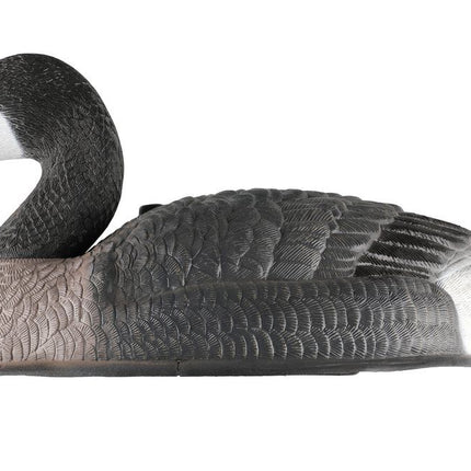 Canadian goose shell decoy